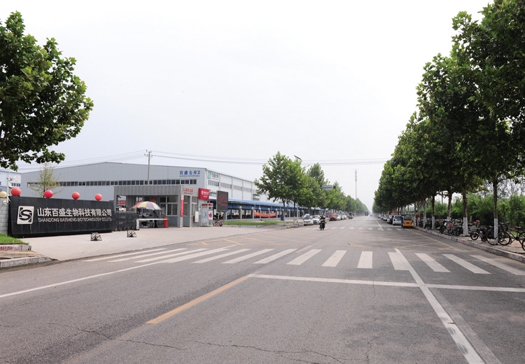 山東百盛生物科技廠區(qū)道路工程