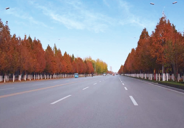 兗州九州大道道路工程